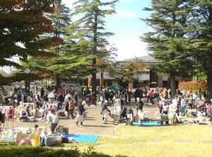 4月18日金曜日島内音文公園フリマ 4月18日金曜日島内音文公園フリマ