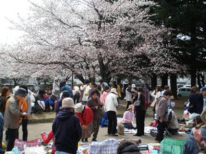 4月18日金曜日島内音文公園フリマ 4月18日金曜日島内音文公園フリマ
