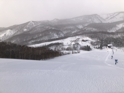 栂池スキー　雪質最高！