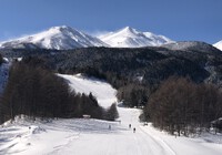 乗鞍高原スキー　快晴・無風 雪質よし！