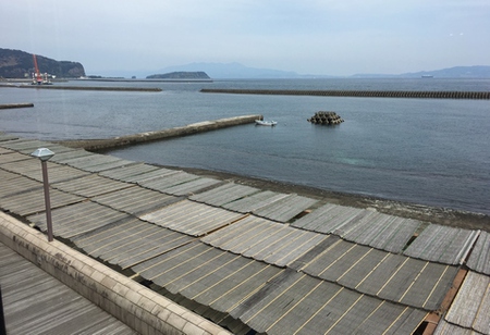 南の大島に行って来ました♪①