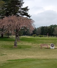 軽井沢72ゴルフ