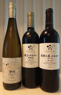 独創的 ノムリエワイン:城戸プライベートリザーブ マスミ・ブラン ワイン