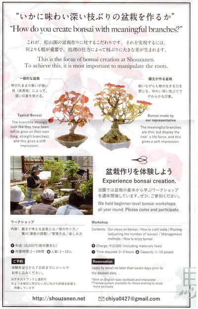 To all the fans of BONSAI,