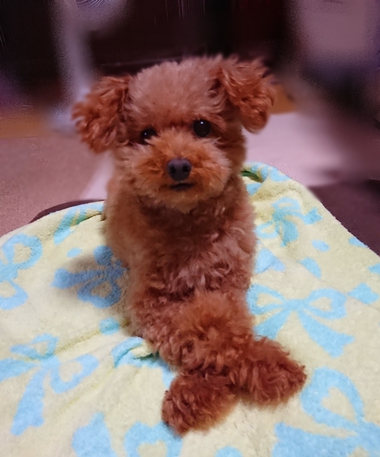 初めての経験