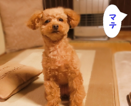 どこかな遊び