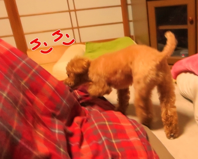どこかな遊び