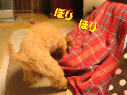 どこかな遊び