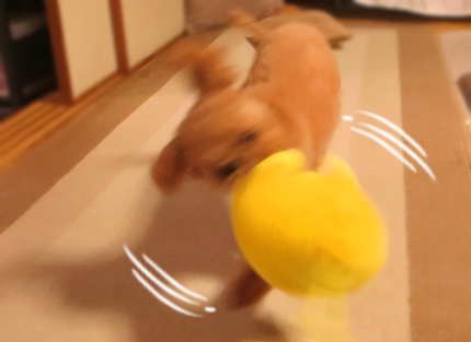 どこかな遊び