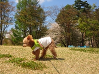 今年初めてのスカイパーク