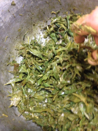 煎茶手作り