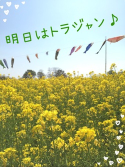 明日の予定