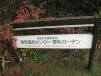 秋への準備。