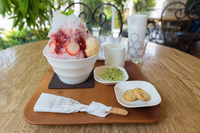 りんごの木で抹茶のかき氷を食べる 2015/07/30 08:04:01