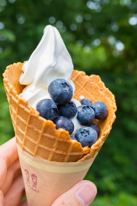 ブルーベリー園まつきでブルーベリーソフトクリームを食べる 2015/07/17 08:11:34