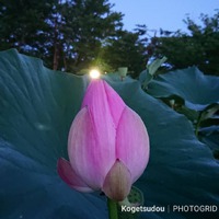 知らないことは、かなり多い