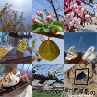 お休み追加・・・スミマセン