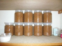 先発隊の6匹のために、菌糸ボトル作成を行う