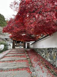 今日は若穂にある清水寺に行ってきました。インスタに清水寺の紅葉の写真がよくアップされていたから。本当にキレイでした