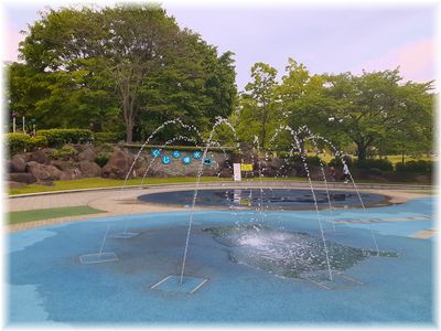 5月の中央公園