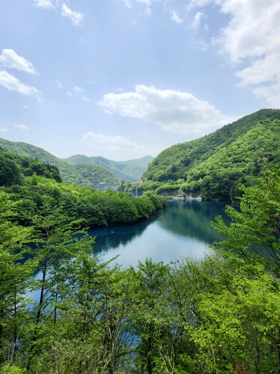 四万ブルー 四万ブルー