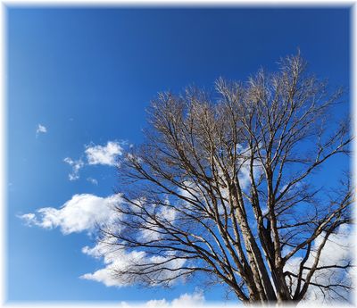 中央公園の青空