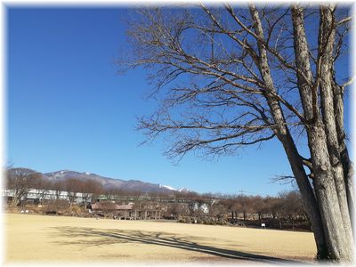 真っ青な冬空　中央公園