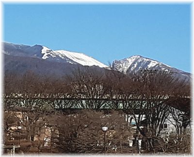 真っ青な冬空　中央公園