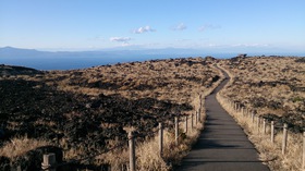 大島いいとこ一度はおいで(^^♪