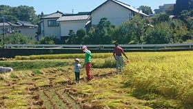 ようやく復調の兆し