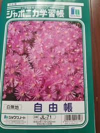 久々に購入しました