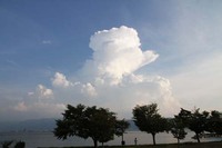 夏本番  中学生以下入場無料