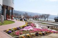 『ゴッホの《アザミの花》とタペストリーを観る展覧会』