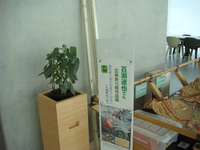 作品展　様子２