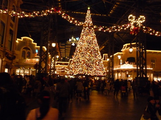 TDL 3