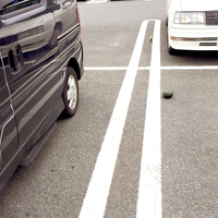 かぼちゃの馬車？