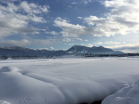 雪国、いいやまの本気！