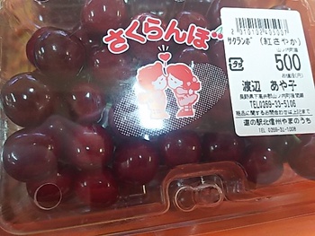 ワンコイン寿司　寿司はうす