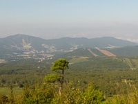 週末登山　根子岳　　上田市～須坂市