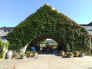 cafe　コハクテラス　信濃町野尻湖