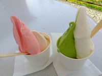 生アイスの店 ふるフル　長野市上駒沢