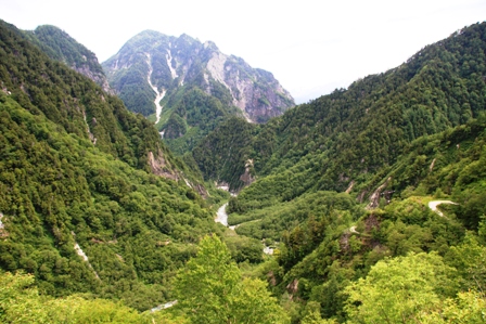 山の緑から元気をもらう。