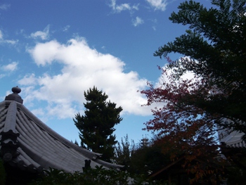 秋晴れ