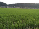yoichi abe