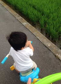 １歳４ヶ月