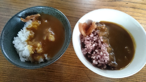 ミニカリー丼