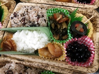 初春紅白弁当