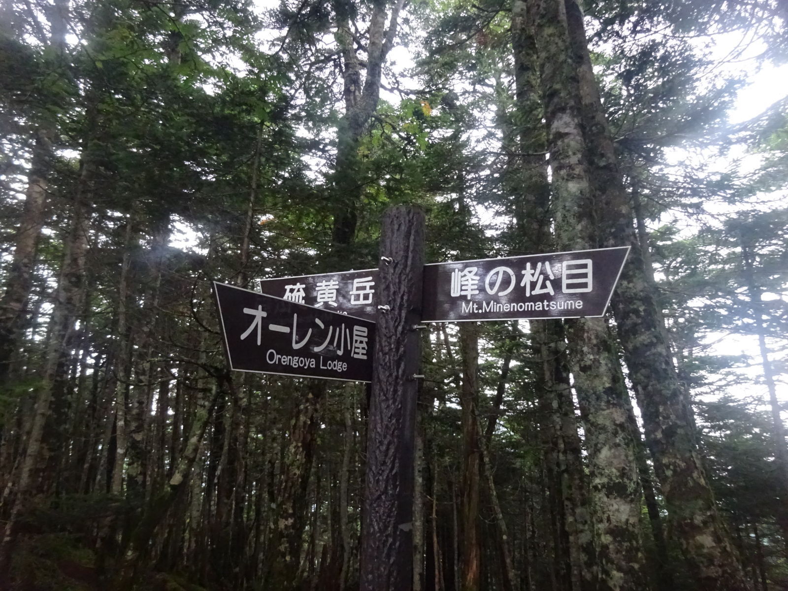 八ヶ岳登山　オーレン小屋～峰の松目～赤石の頭～本沢温泉　1日目