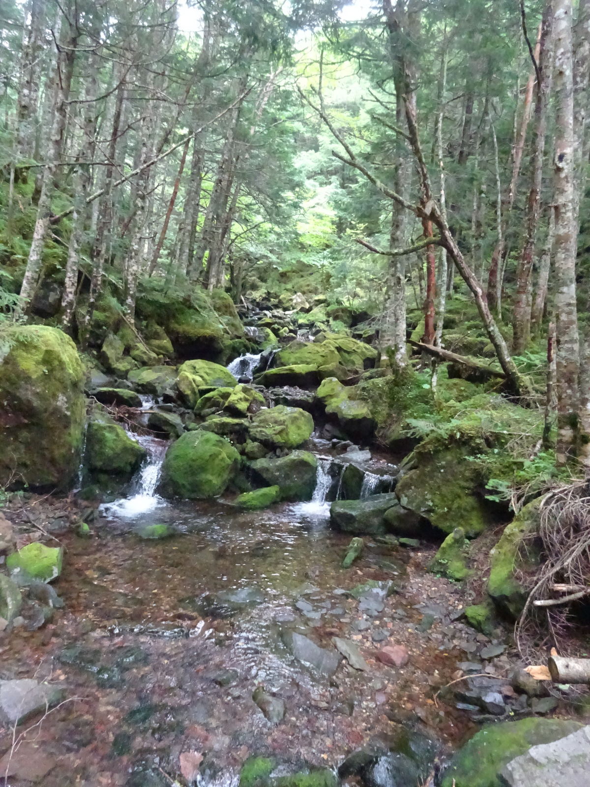 八ヶ岳登山　オーレン小屋～峰の松目～赤石の頭～本沢温泉　1日目