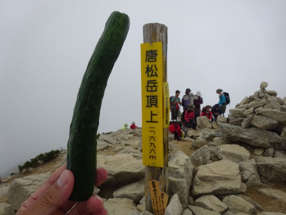 唐松岳日帰り登山　八方池山荘～八方池～唐松岳頂上山荘～唐松岳